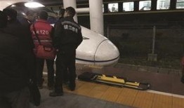 动车事件最新爆料,揭秘事故真相与背后隐情